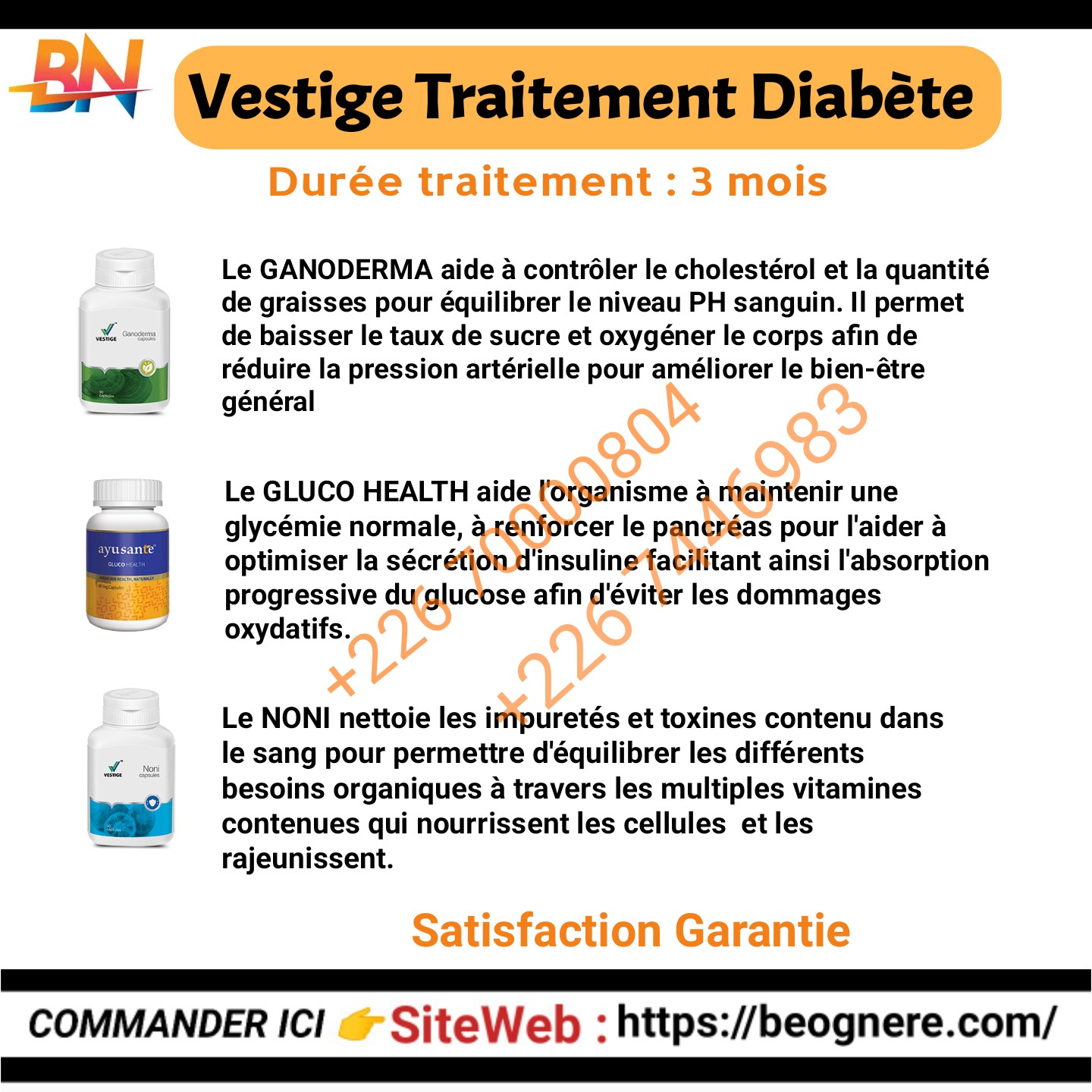 vestige kit diabète